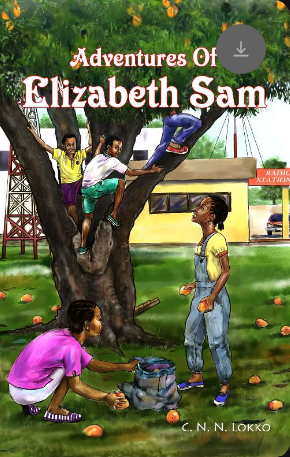 Image of CNN Lokko's first published children's novel, titled, Adventures of Elizabeth Sam.